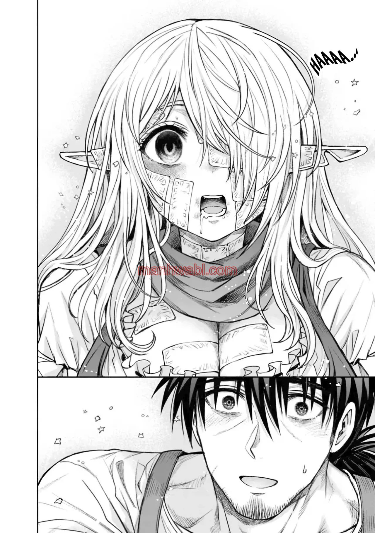 El Boticario va a Hacer Feliz a esta Elfa Harapienta - Capítulo 3_2 manhwa