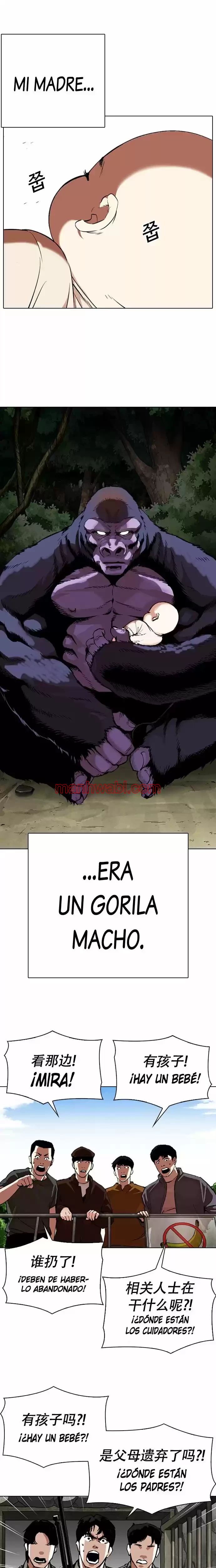 Nueva Cara - Capítulo 333 manhwa