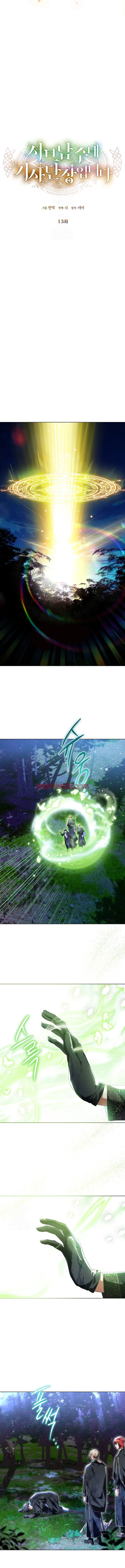 Soy el comandante de la orden de caballeros del protagonista secundario - Capítulo 13_3 manhwa